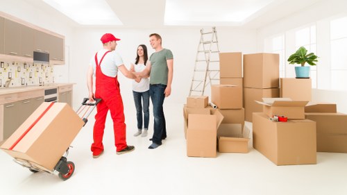 User requesting accessibility support for Mayfair Storage online information
